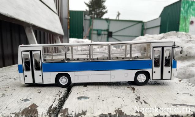 Наши Автобусы №81 - Икарус-260.51