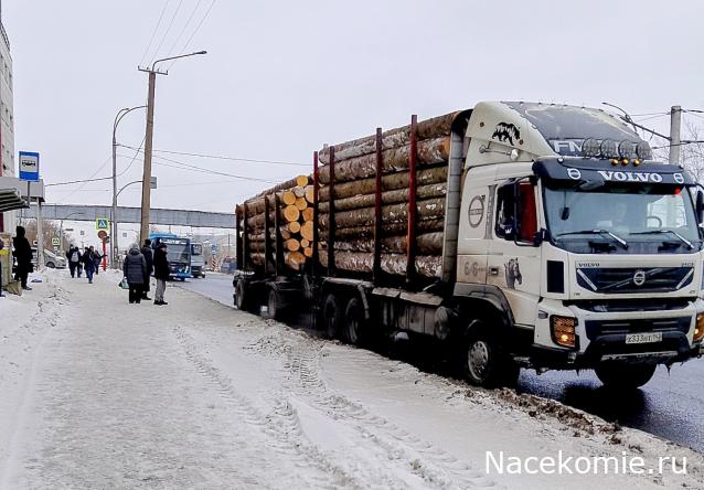 Автолегенды вживую