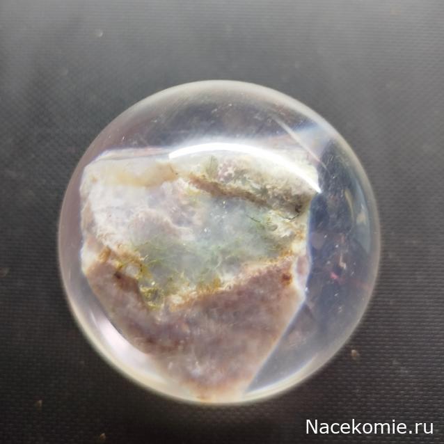 Коллекция zhuki