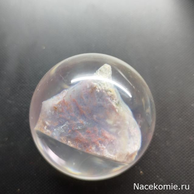 Коллекция zhuki