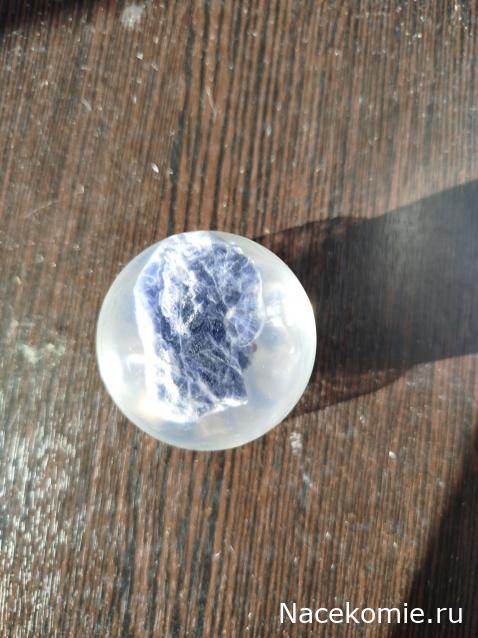 Коллекция zhuki