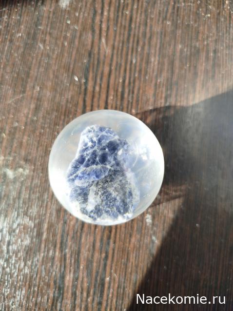 Коллекция zhuki