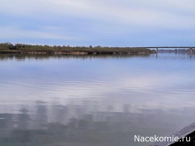 Liana65-Snegana - Мой будущий дом и его обитатели.