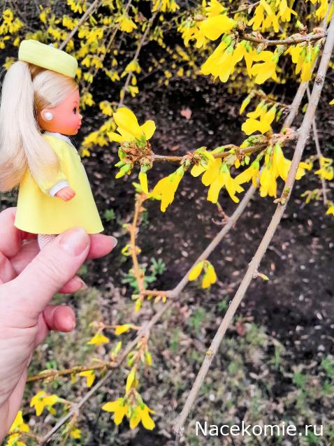 Liana65-Snegana - Мой будущий дом и его обитатели.