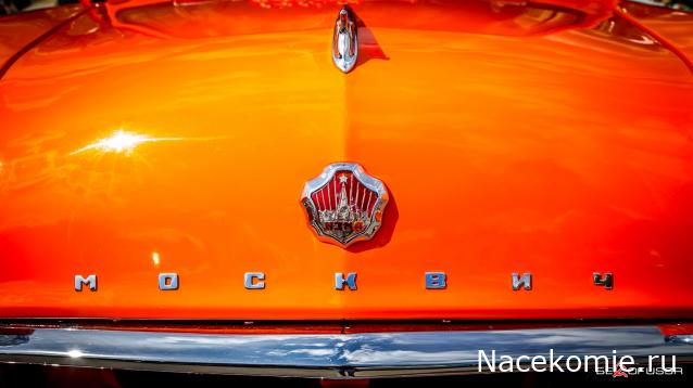 Болталка АЛ и АНС