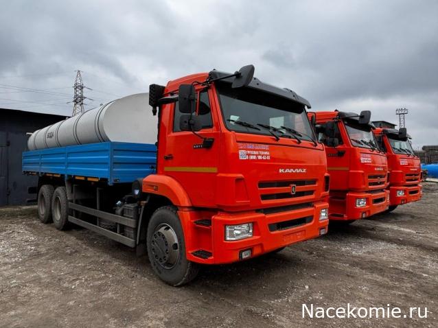 Автолегенды вживую