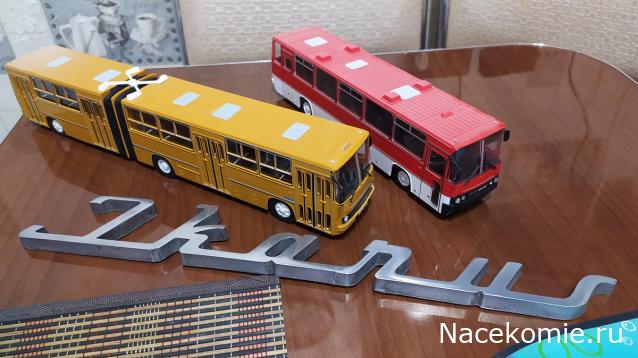 Околоавтобусная болталка