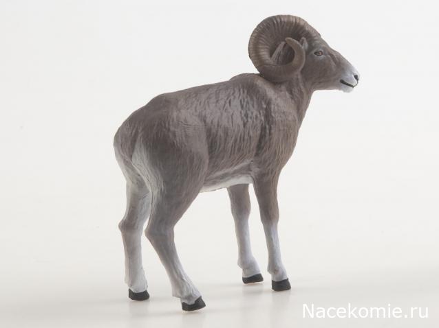 Дикие животные России (MODIMIO)