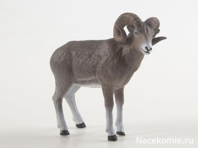 Дикие животные России (MODIMIO)