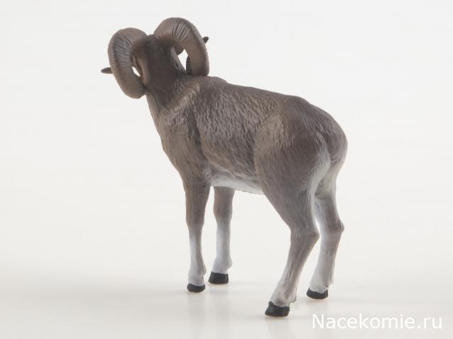 Дикие животные России (MODIMIO)