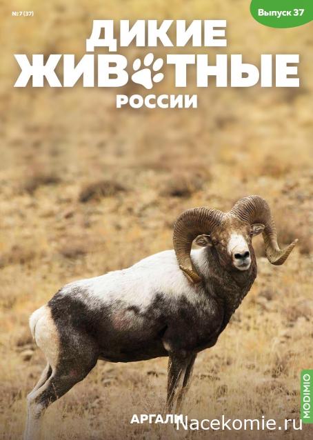 Дикие животные России (MODIMIO)