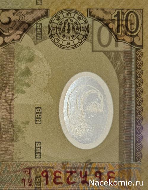 Коллекция alexenamel