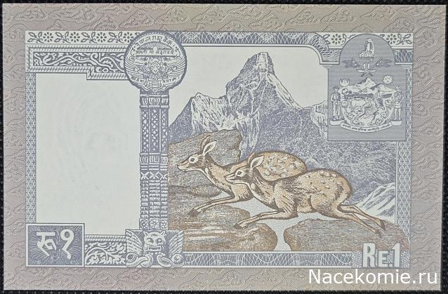 Коллекция alexenamel