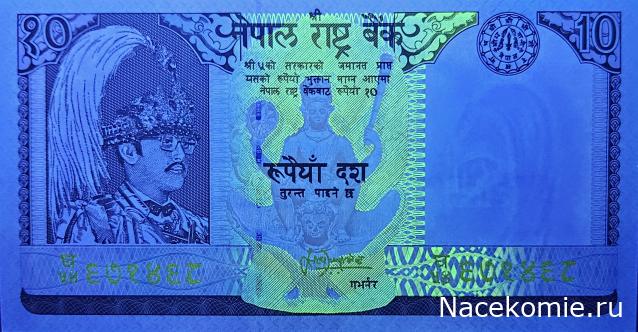 Коллекция alexenamel