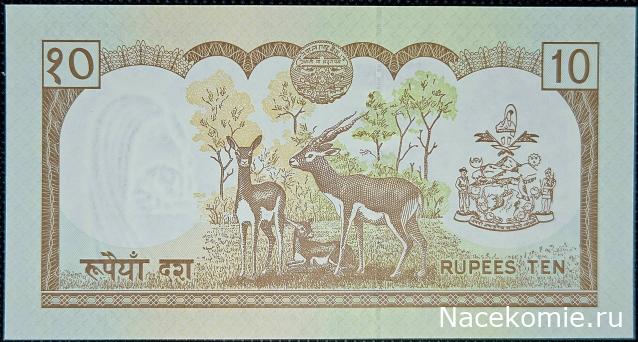 Коллекция alexenamel