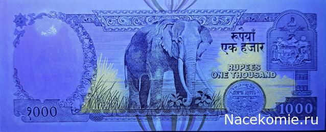 Коллекция alexenamel