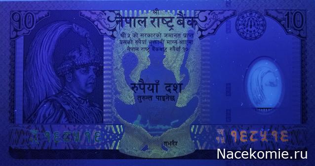 Коллекция alexenamel