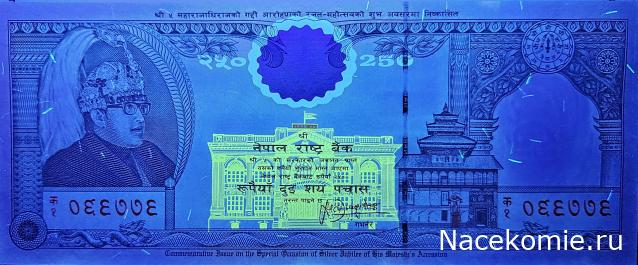 Коллекция alexenamel