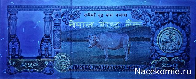 Коллекция alexenamel