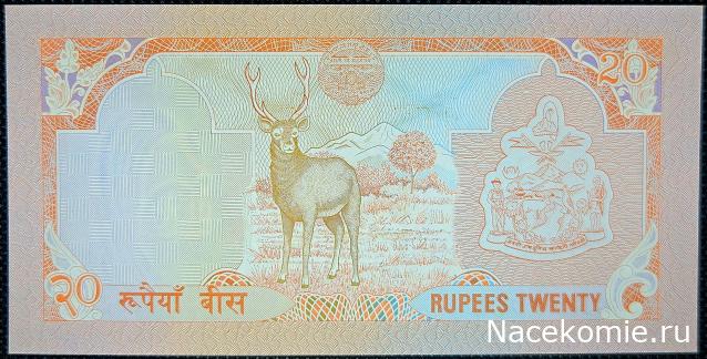 Коллекция alexenamel