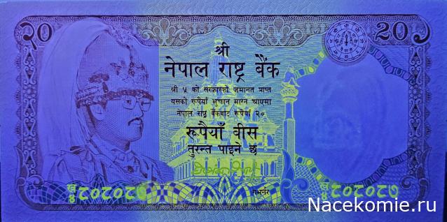 Коллекция alexenamel