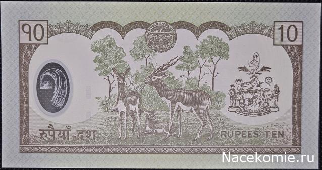 Коллекция alexenamel