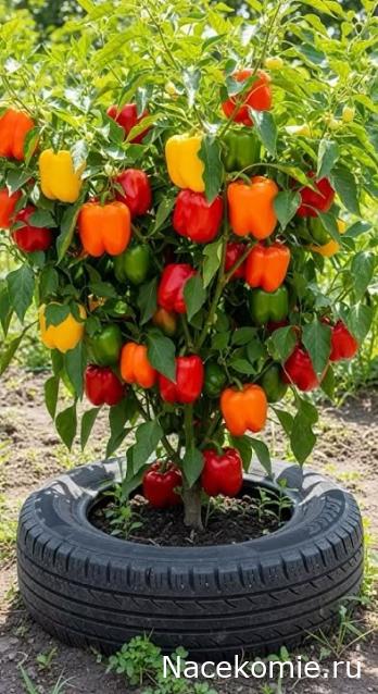 Праздник каждый день - поздравлялка Авторазделов