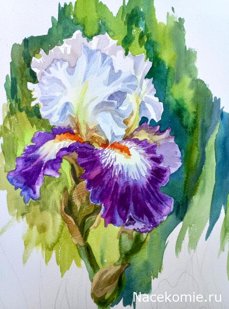 Праздник каждый день - поздравлялка Авторазделов