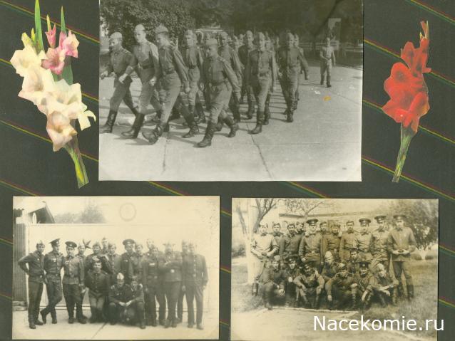 Вперёд в прошлое!