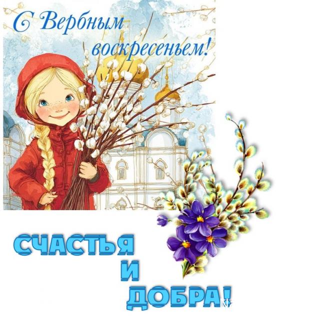 100 крестиков!