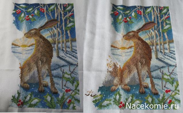 100 крестиков!