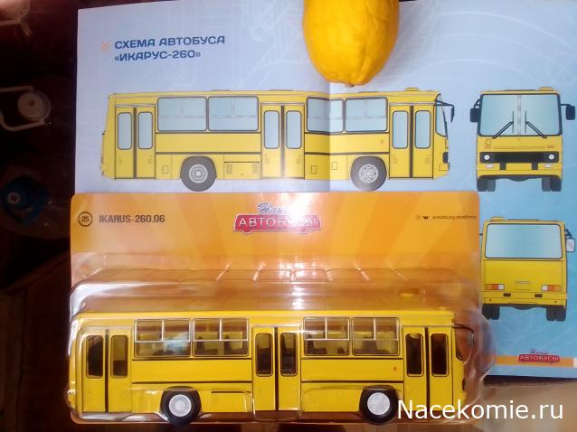 Наши Автобусы №25 - Икарус-260.06