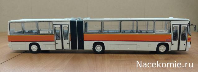 Наши Автобусы №81 - Икарус-260.51