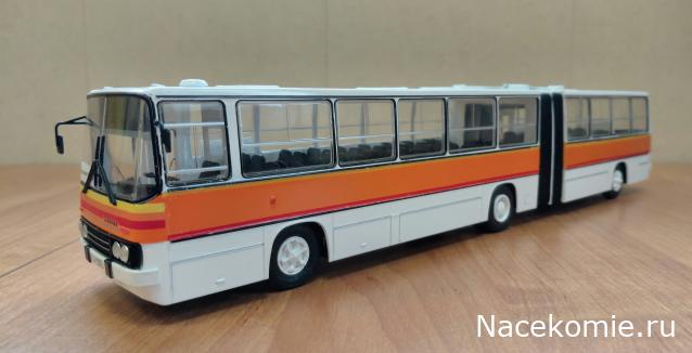 Наши Автобусы №81 - Икарус-260.51