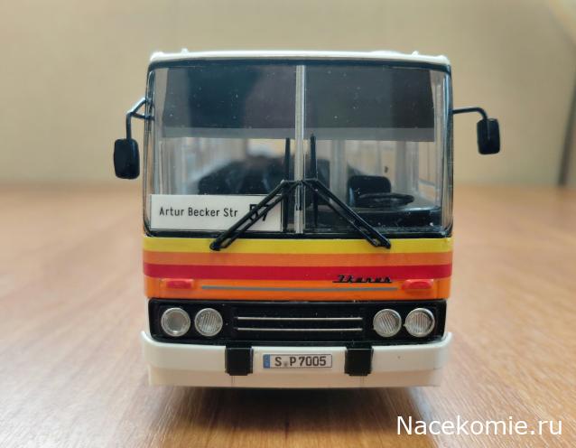 Наши Автобусы №81 - Икарус-260.51