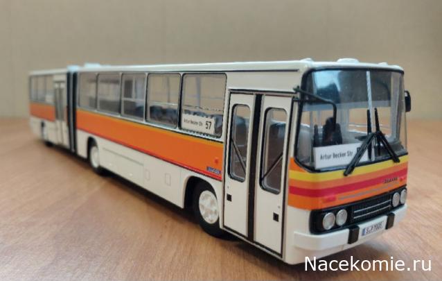 Наши Автобусы №81 - Икарус-260.51