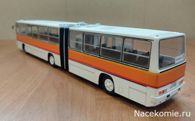 Наши Автобусы №81 - Икарус-260.51