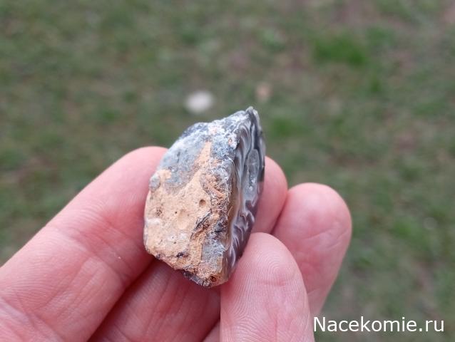 Камни и Минералы. Тайны Недр №27 - Жеода Халцедона