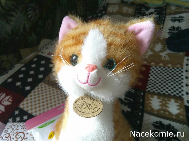 Праздник каждый день - поздравлялка Авторазделов