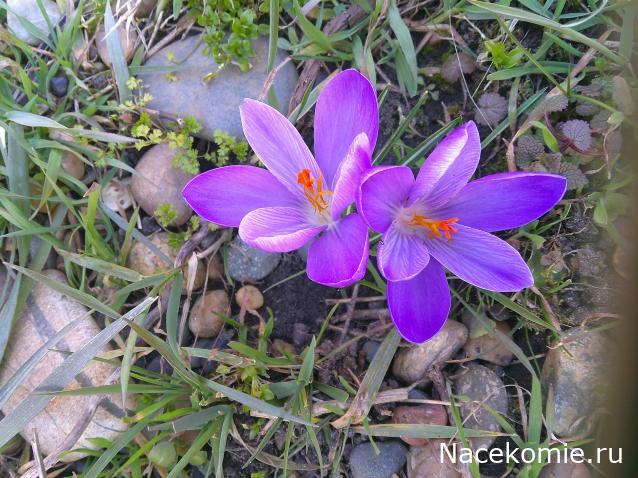 Радиорубка наших поездов: поздравления для всех тех, с кем нам по пути!