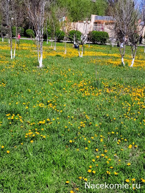 Liana65-Snegana - Мой будущий дом и его обитатели.