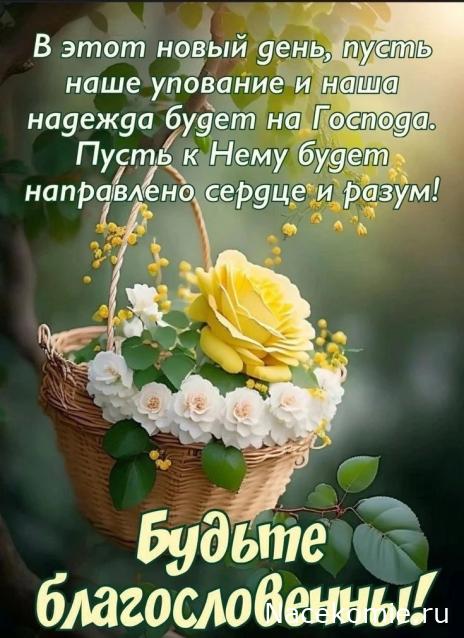 Liana65-Snegana - Мой будущий дом и его обитатели.