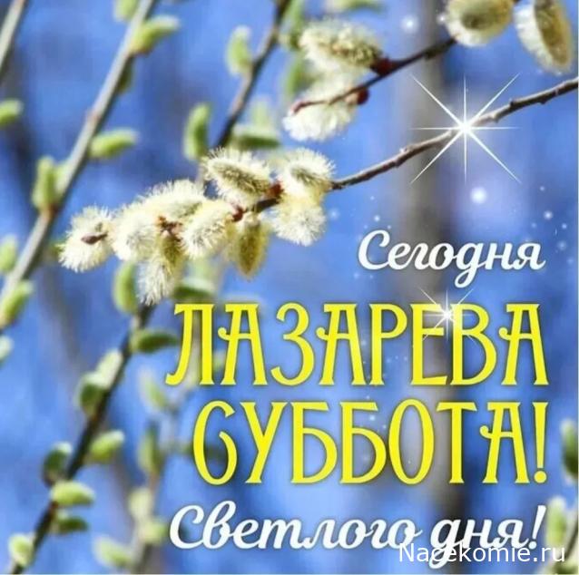 Liana65-Snegana - Мой будущий дом и его обитатели.