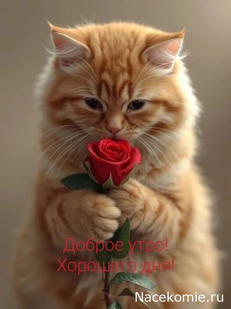 Liana65-Snegana - Мой будущий дом и его обитатели.