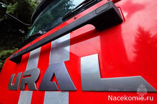 Болталка АЛ и АНС