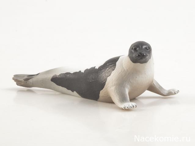 Дикие животные России (MODIMIO)