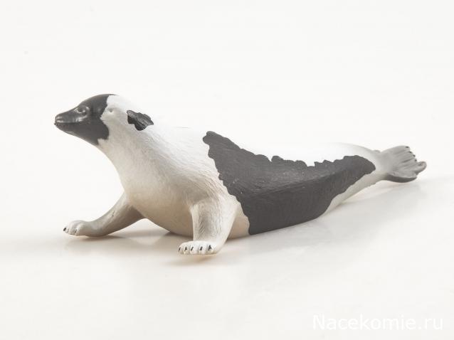 Дикие животные России (MODIMIO)