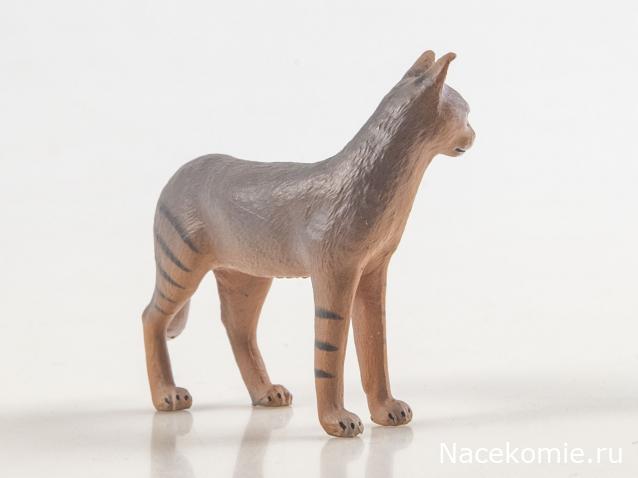 Дикие животные России (MODIMIO)