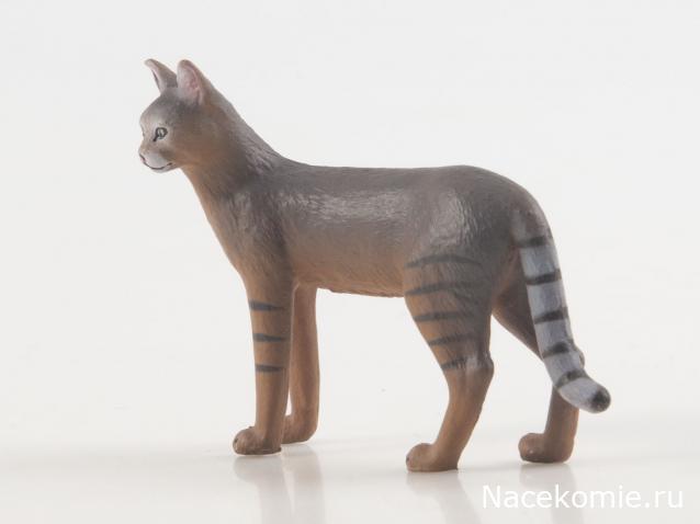 Дикие животные России (MODIMIO)