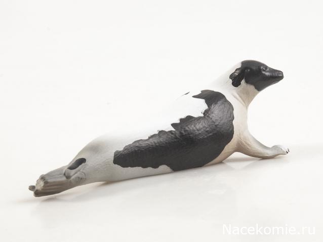 Дикие животные России (MODIMIO)